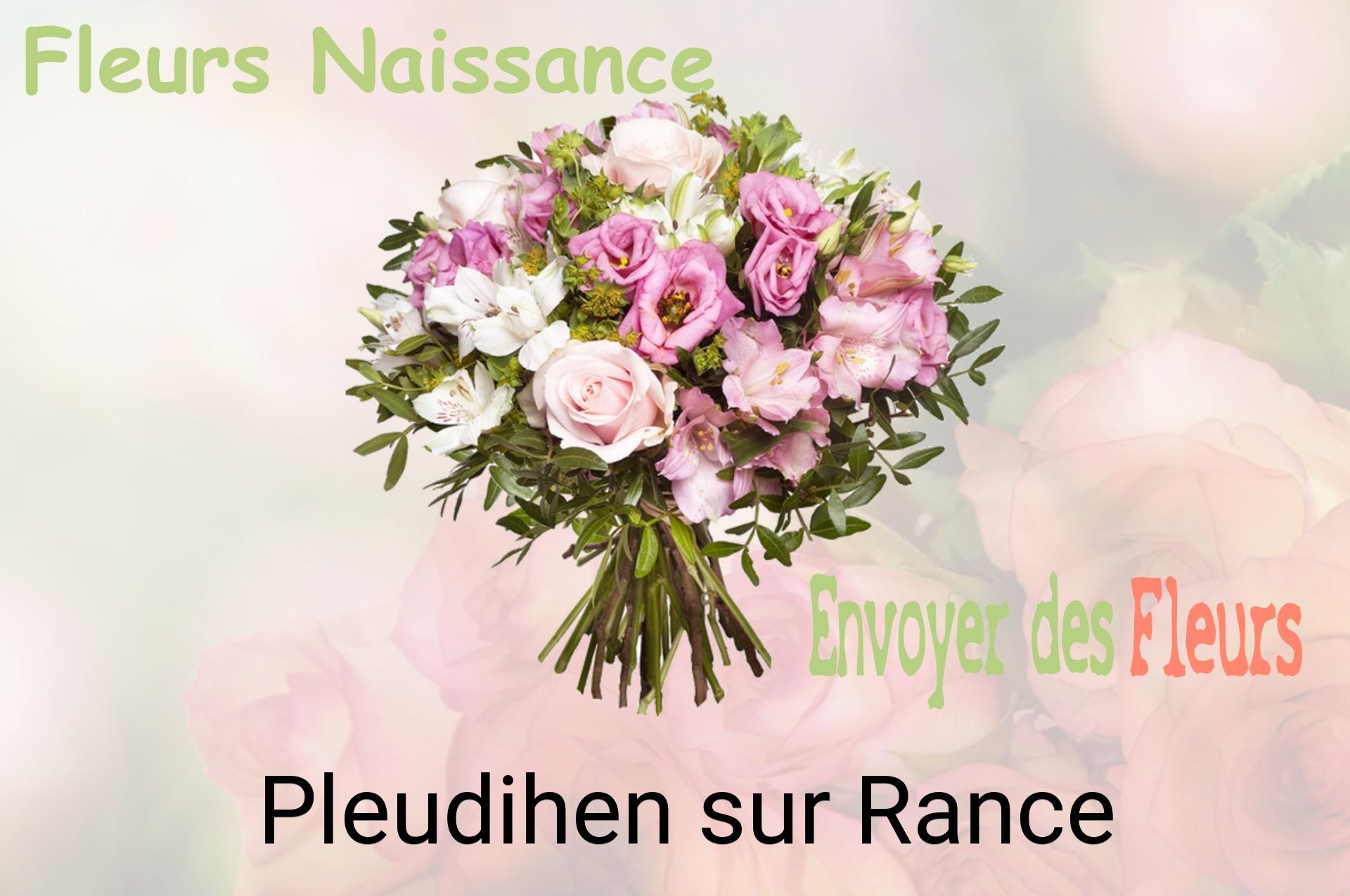 Bouquet de fleurs de naissance livré à Pleudihen-sur-Rance